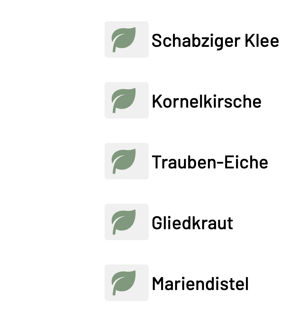 Bildschirmfoto_2023-10-17_um_22.03.00.png